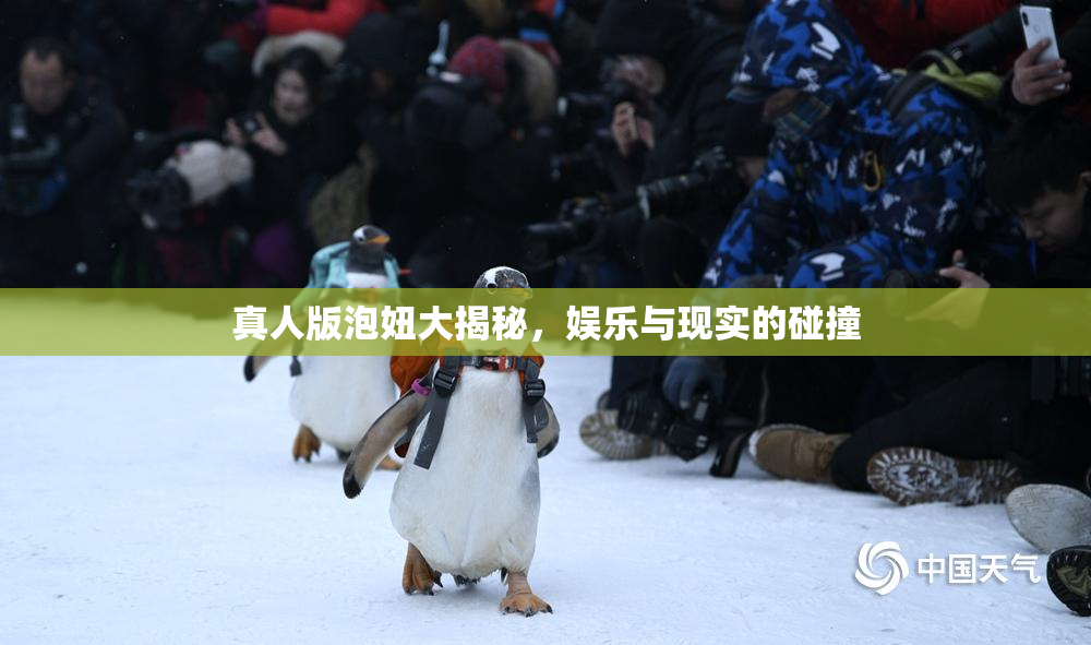 真人版泡妞大揭秘，娱乐与现实的碰撞