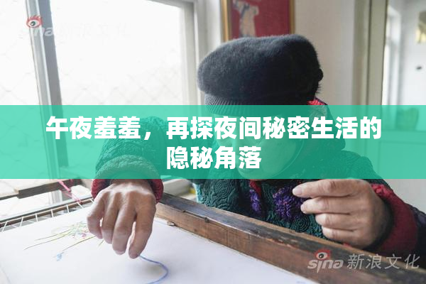 午夜羞羞，再探夜间秘密生活的隐秘角落