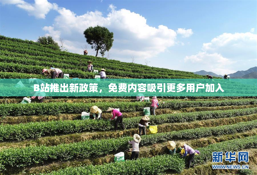 B站推出新政策，免费内容吸引更多用户加入