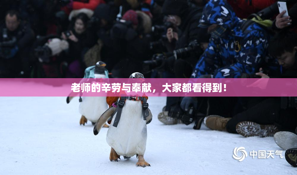 老师的辛劳与奉献，大家都看得到！