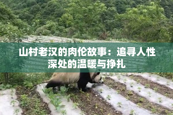 山村老汉的肉伦故事：追寻人性深处的温暖与挣扎