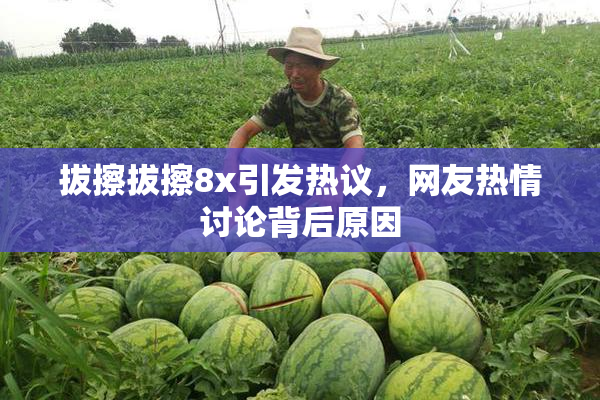 拔擦拔擦8x引发热议，网友热情讨论背后原因