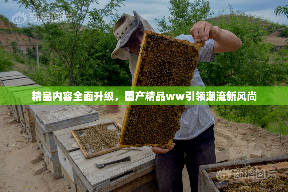 精品内容全面升级，国产精品ww引领潮流新风尚