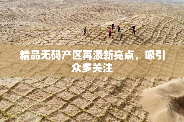 精品无码产区再添新亮点，吸引众多关注