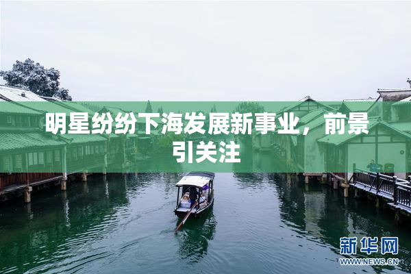 明星纷纷下海发展新事业，前景引关注