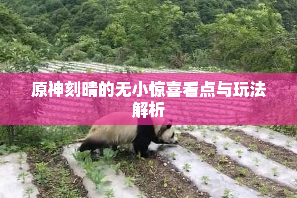 原神刻晴的无小惊喜看点与玩法解析