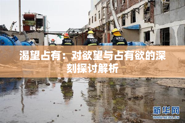 渴望占有：对欲望与占有欲的深刻探讨解析