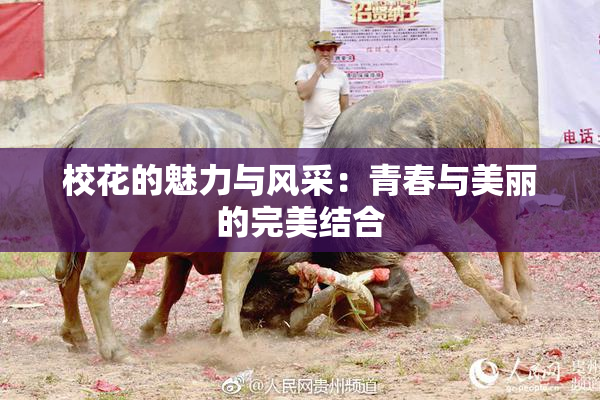 校花的魅力与风采：青春与美丽的完美结合