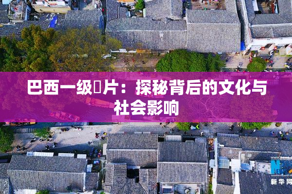 巴西一级婬片：探秘背后的文化与社会影响