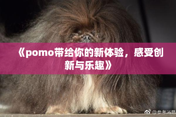 《pomo带给你的新体验，感受创新与乐趣》