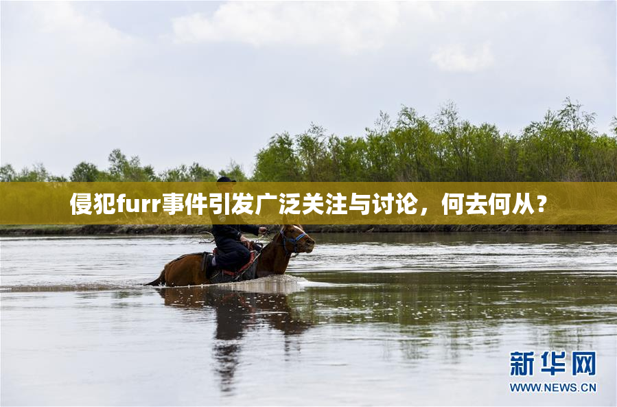 侵犯furr事件引发广泛关注与讨论，何去何从？