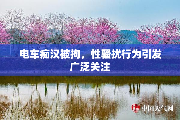 电车痴汉被拘，性骚扰行为引发广泛关注