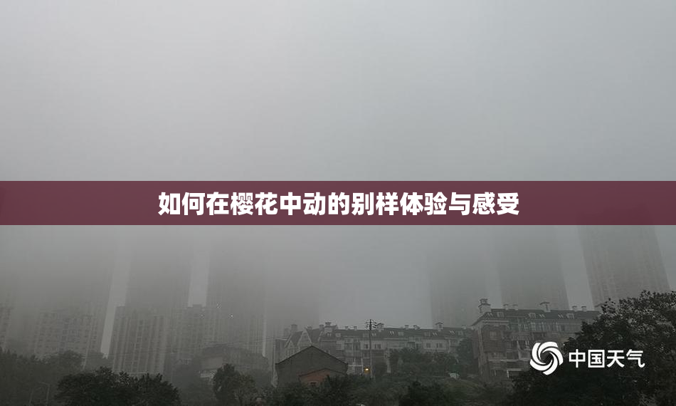 如何在樱花中动的别样体验与感受