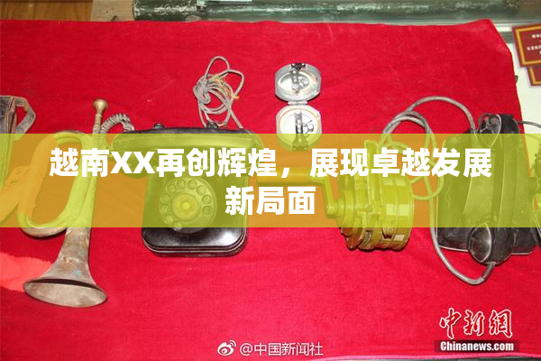 越南XX再创辉煌，展现卓越发展新局面