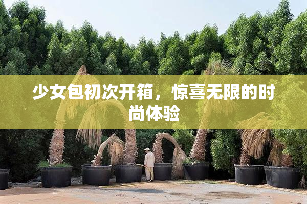 少女包初次开箱，惊喜无限的时尚体验