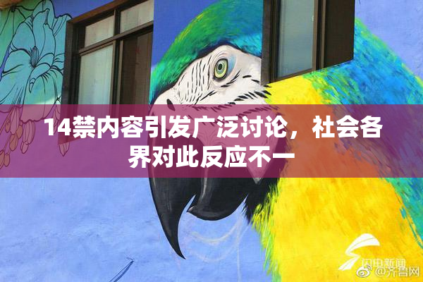 14禁内容引发广泛讨论，社会各界对此反应不一