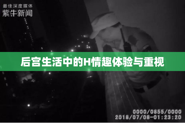 后宫生活中的H情趣体验与重视