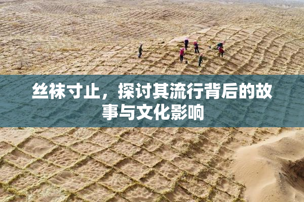 丝袜寸止，探讨其流行背后的故事与文化影响