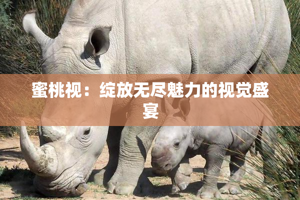 蜜桃视：绽放无尽魅力的视觉盛宴
