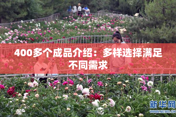 400多个成品介绍：多样选择满足不同需求