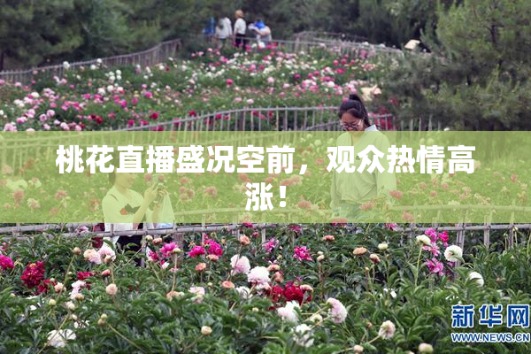 桃花直播盛况空前，观众热情高涨！