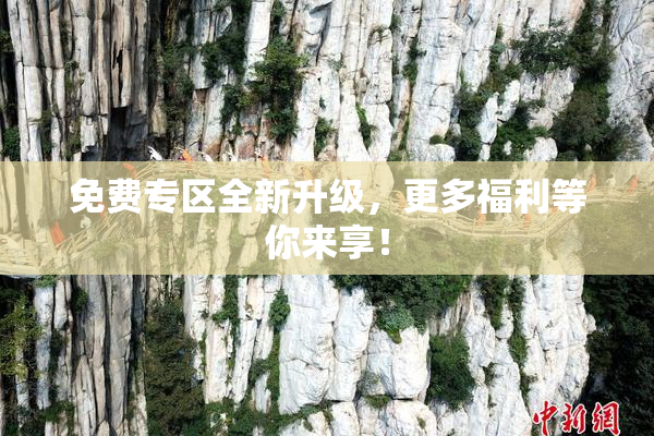 免费专区全新升级，更多福利等你来享！