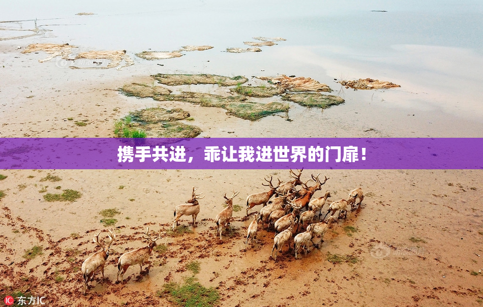 携手共进，乖让我进世界的门扉！