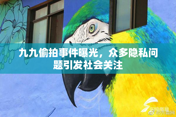 九九偷拍事件曝光，众多隐私问题引发社会关注