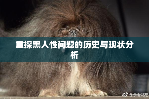 重探黑人性问题的历史与现状分析