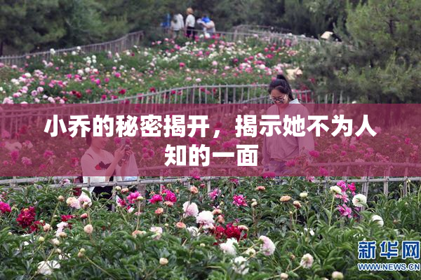 小乔的秘密揭开，揭示她不为人知的一面