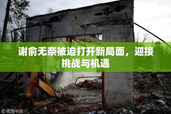 谢俞无奈被迫打开新局面，迎接挑战与机遇