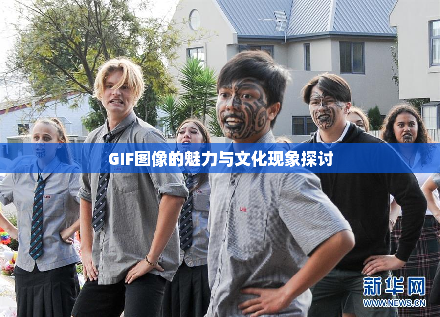 GIF图像的魅力与文化现象探讨