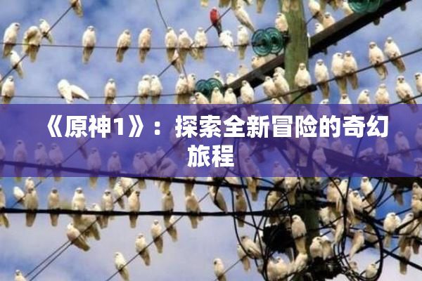 《原神1》：探索全新冒险的奇幻旅程