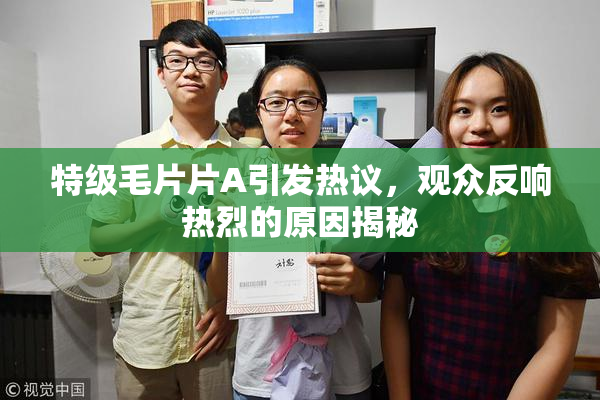 特级毛片片A引发热议，观众反响热烈的原因揭秘
