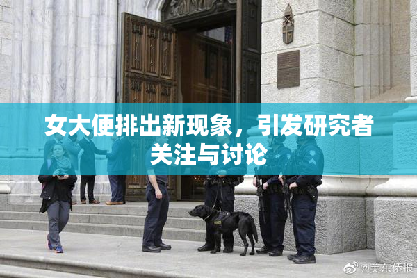 女大便排出新现象，引发研究者关注与讨论