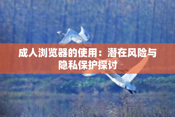 成人浏览器的使用：潜在风险与隐私保护探讨