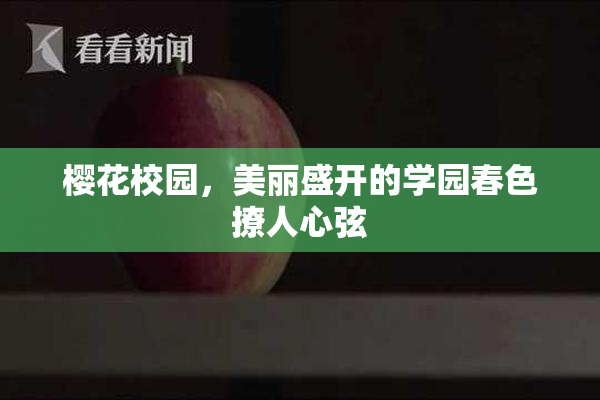 樱花校园，美丽盛开的学园春色撩人心弦