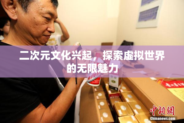 二次元文化兴起，探索虚拟世界的无限魅力
