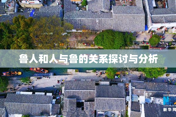 鲁人和人与鲁的关系探讨与分析