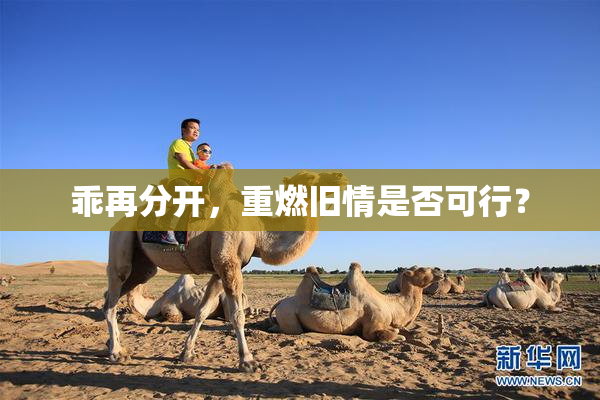 乖再分开，重燃旧情是否可行？