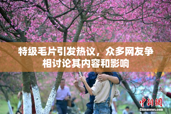 特级毛片引发热议，众多网友争相讨论其内容和影响