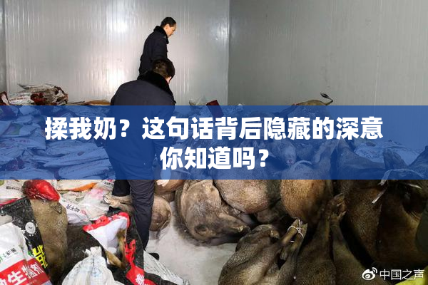 揉我奶？这句话背后隐藏的深意你知道吗？