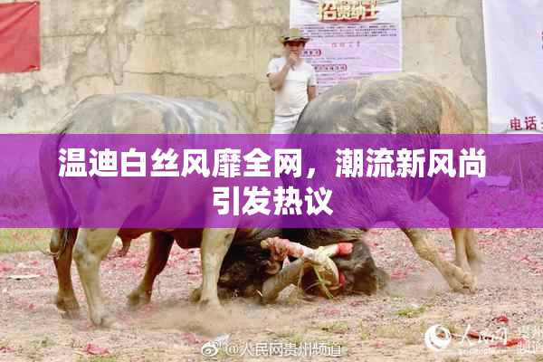 温迪白丝风靡全网，潮流新风尚引发热议