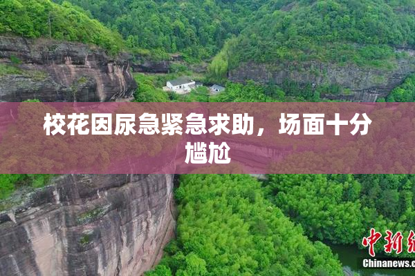 校花因尿急紧急求助，场面十分尴尬