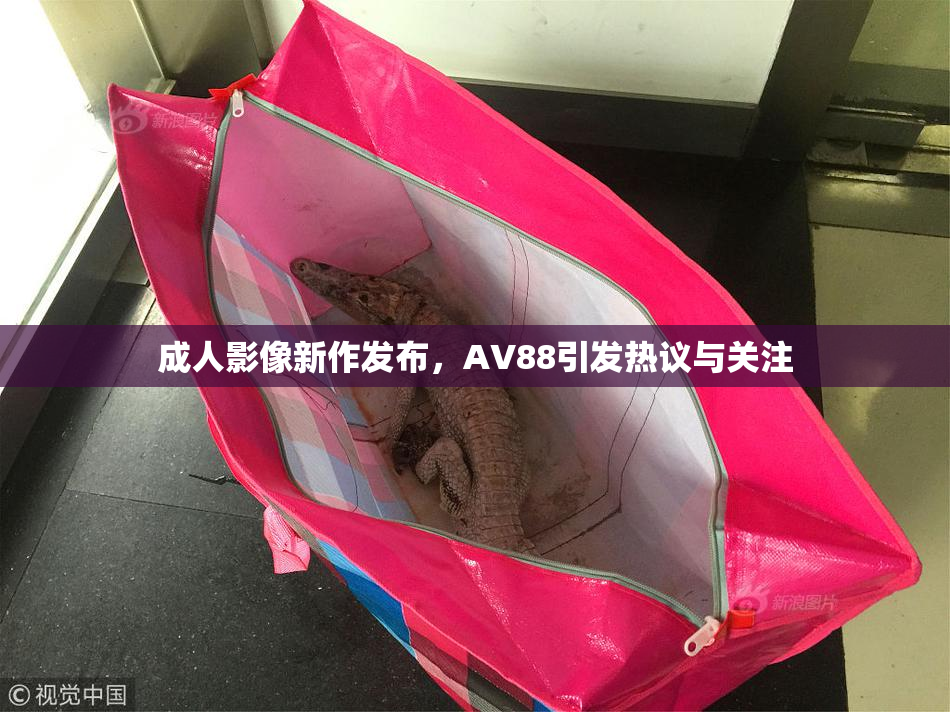 成人影像新作发布，AV88引发热议与关注