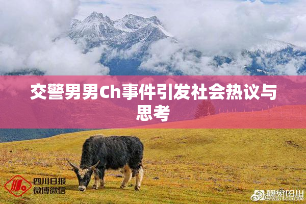交警男男Ch事件引发社会热议与思考