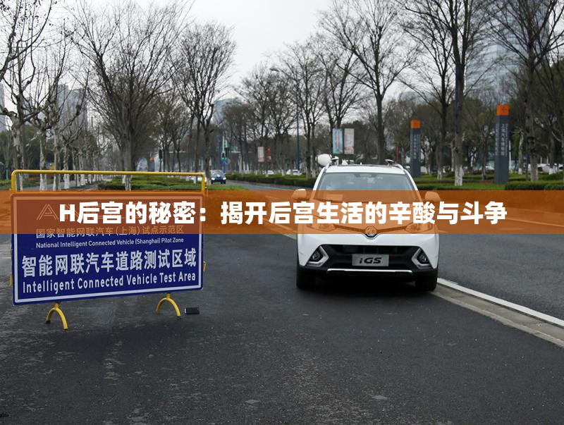 H后宫的秘密：揭开后宫生活的辛酸与斗争