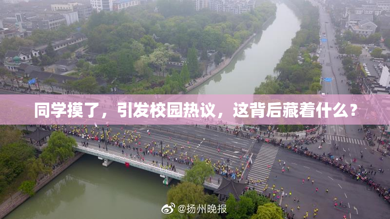 同学摸了，引发校园热议，这背后藏着什么？