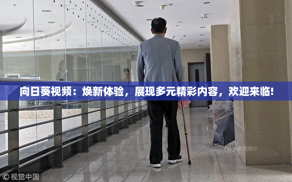 向日葵视频：焕新体验，展现多元精彩内容，欢迎来临!