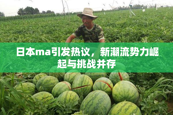 日本ma引发热议，新潮流势力崛起与挑战并存